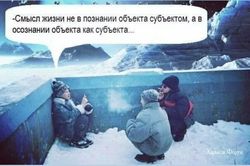 81aa7e73f50f9f37f6db6f4.webp