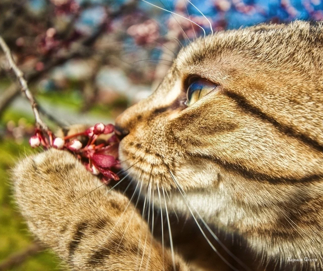 81abc3b453f47a3bdbf.webp