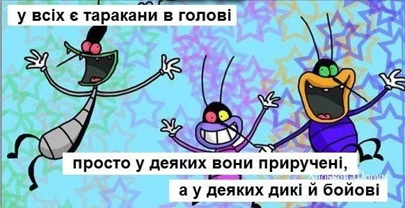 81c454b48cb71d60b3.webp
