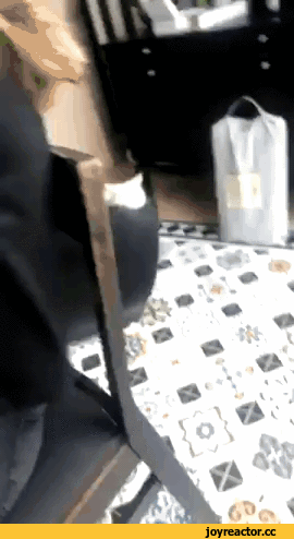 81c9c21b22542f9ecf.gif