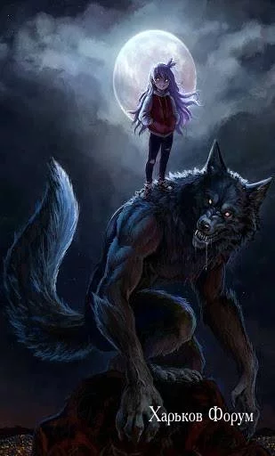 81eff7e8d904a33963fd3.webp