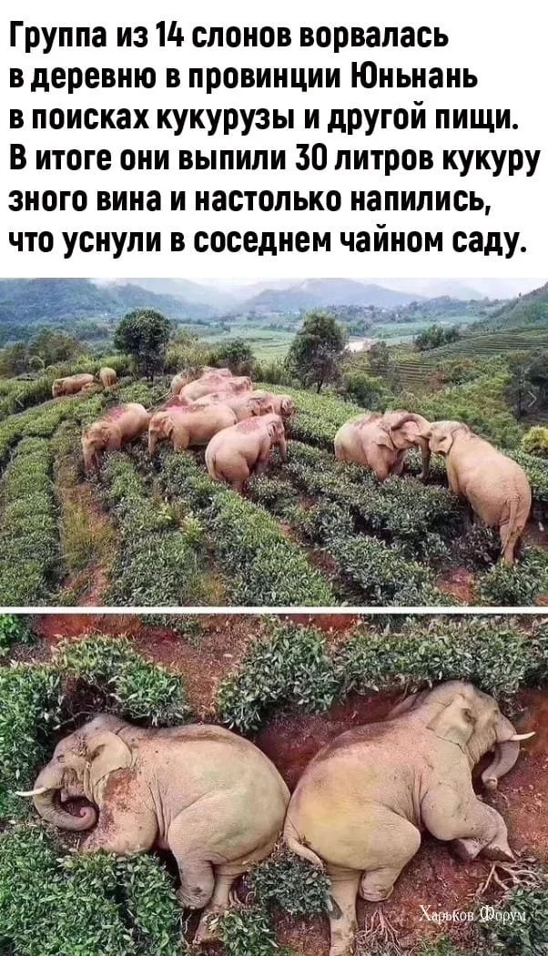 81fb6d343a524bace76.webp