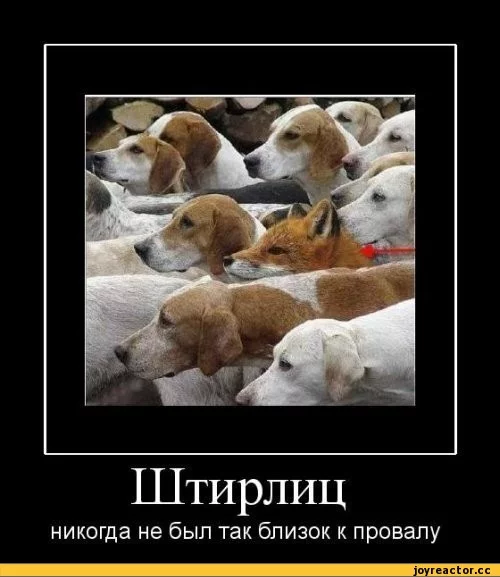 %82%D0%B8%D0%B2%D0%B0%D1%82%D0%BE%D1%80%D1%8B-5188.webp