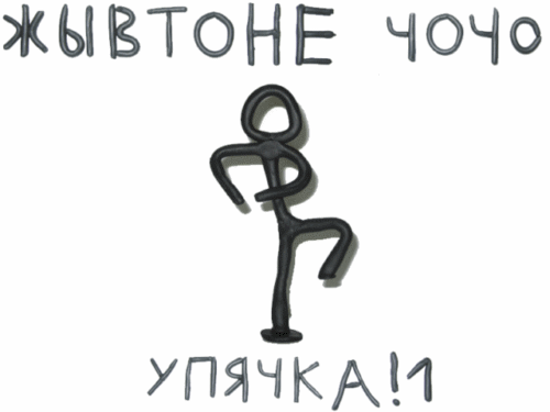 82029805.gif