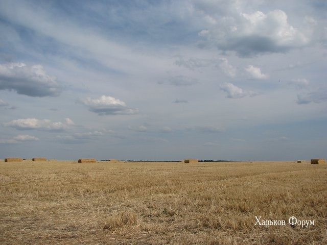 820fc1f6516bcbbc331bf6f.jpg
