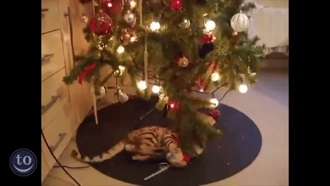 8214ce5f765e019b7b007a.gif