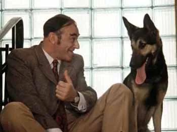 82183586_iv620shpakdog.webp