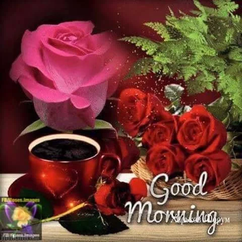 821c6f04630925fc.webp