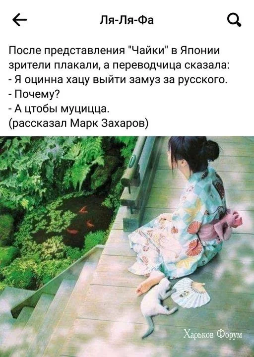 82358bcb78f2ce7d3b93d4.webp