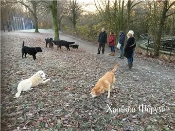 823aeb36acf5a3e19cd5bc.webp 823aeb36acf5a3e19cd5bc.webp