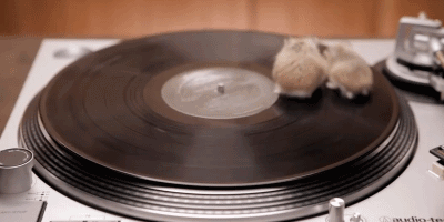 82499efe6a0c2d74546e.gif