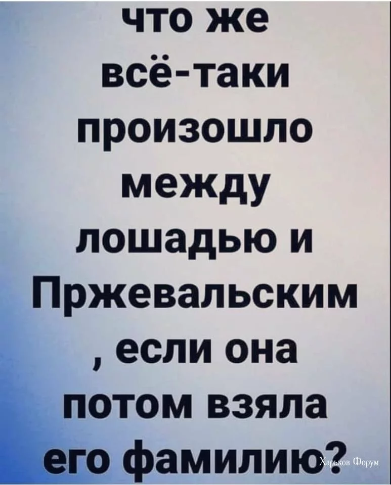 8256cf3a389084dfb.webp