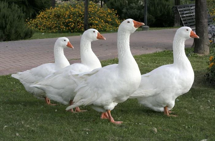825905.webp
