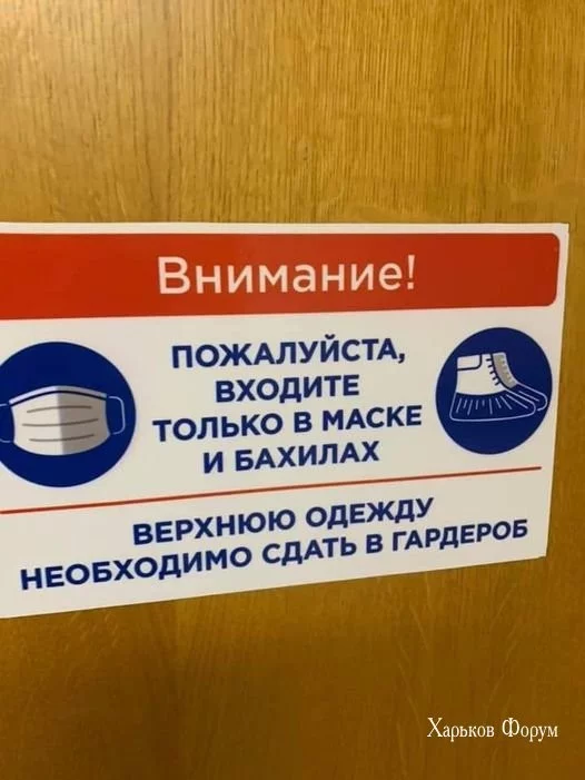 826c4435221502862.webp