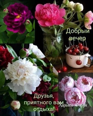 8275e040a2815ea3795dcd.webp