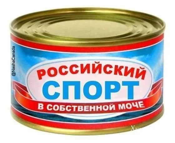 827994af631b9b5886c9749b.webp