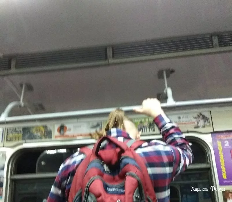 82951567327e846438.webp
