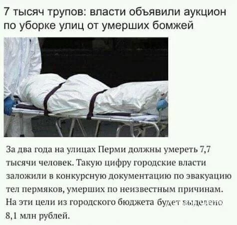 82ac1833435e5594e9.webp