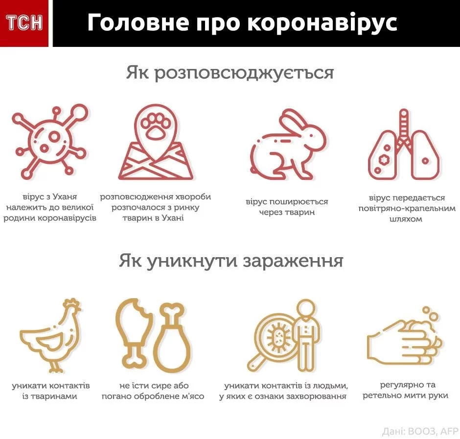 82b6228c51940f3a27d.webp
