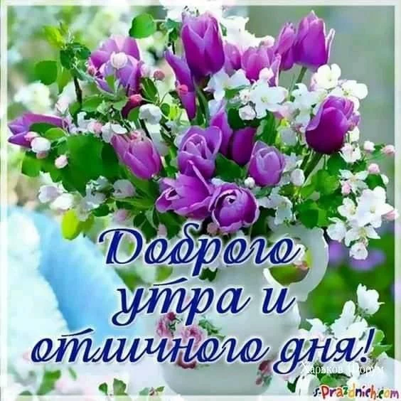82b62c6de2fb929070.webp