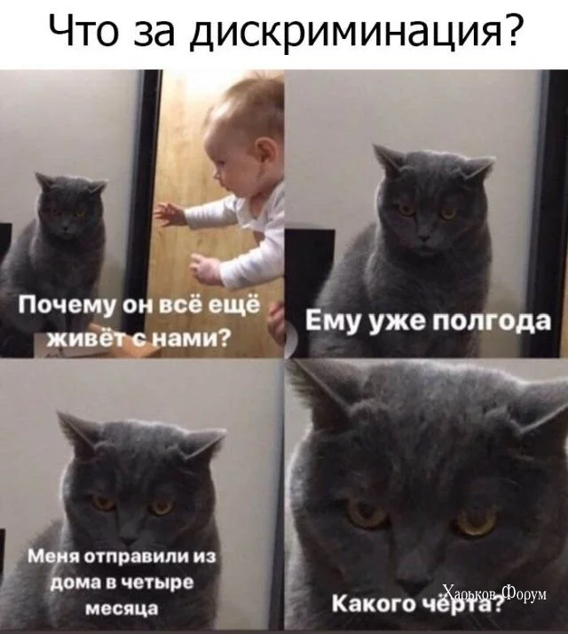 82b6652f1af8ff45ef.webp
