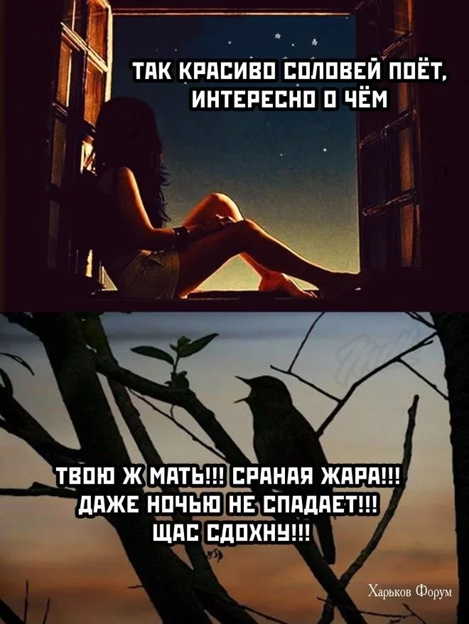 82d00af1e7fea45ea005c.webp