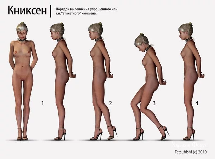 82d3e7030361314d5.webp