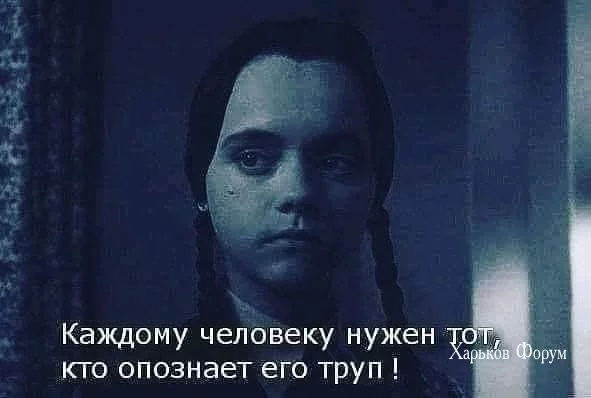 82d4e948c967cb7772a8283.webp