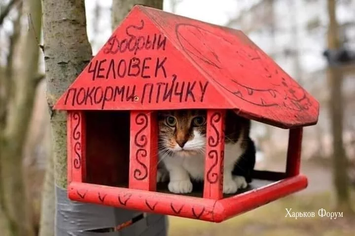 82d57d7a105e59bc18.webp