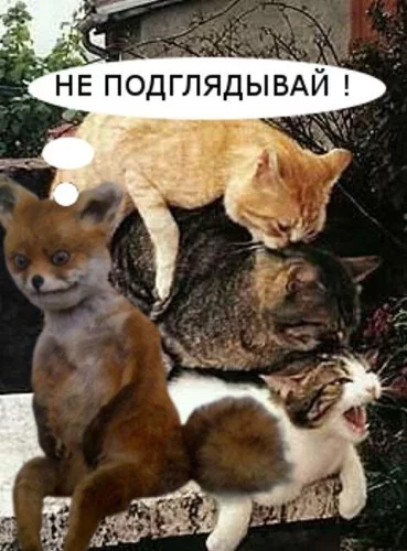 82dc863dbe2a6e4bf219570347cd79f1.webp