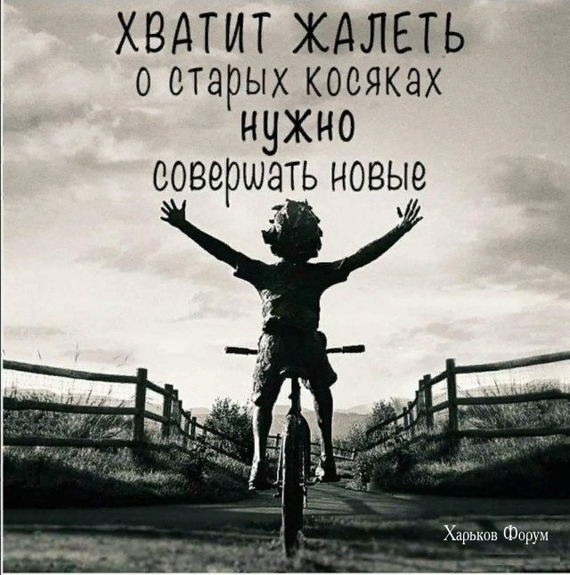 82e7854594eb719f7782.jpg