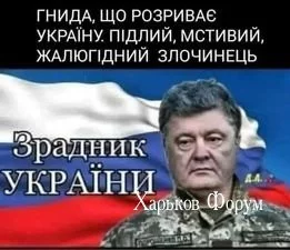 82f4d553b497706a81d78130.webp