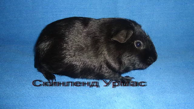 831975_m.webp