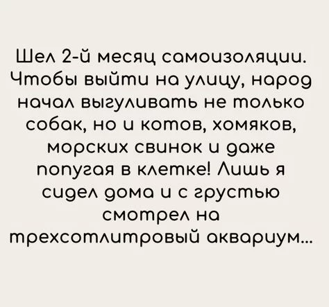 832761c2a3f3df18194c900e63c1bc9d.webp
