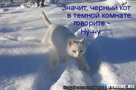 83277329_beluyy_kot_v_temnoy_komnate_.webp