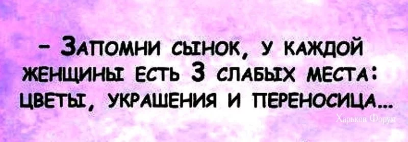 83277f953ff2d917bc518.webp