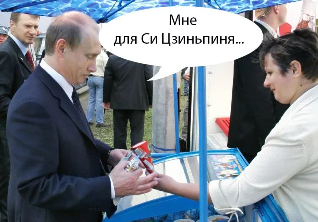 8328648.webp