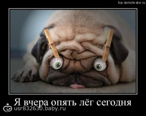 83303364.217295689.webp