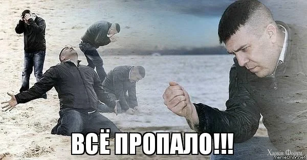 8331388.webp