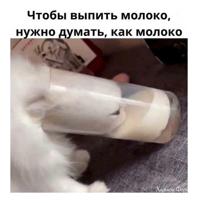 83314e40bdd28f3d306ae2d5.jpg