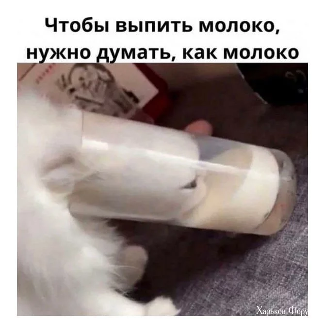 83314e40bdd28f3d306ae2d5.webp