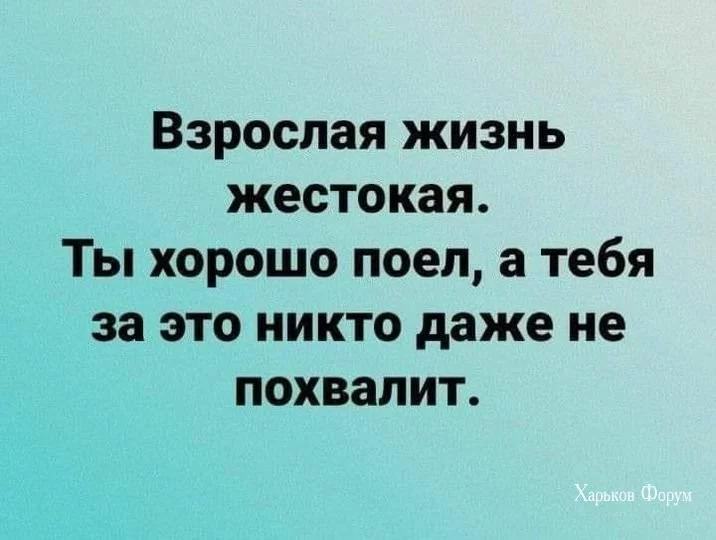 83322473a737446d2f80a4b2.webp