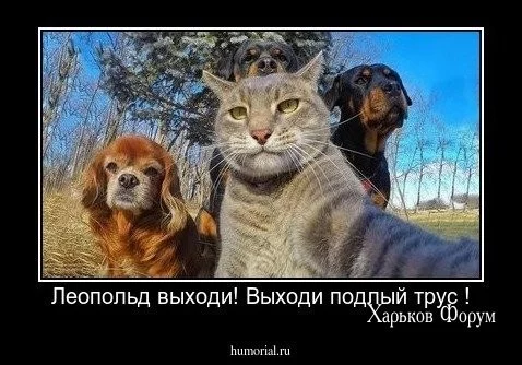 8334527a47cdb959.webp
