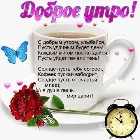 835dc8b3bbc128e00d70.jpg