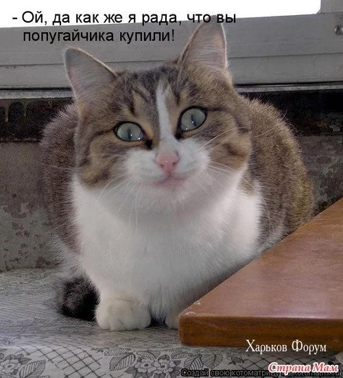 835fa290c83cc6a0b25.webp
