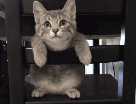 83635e7f735fe0c4e53f48.gif
