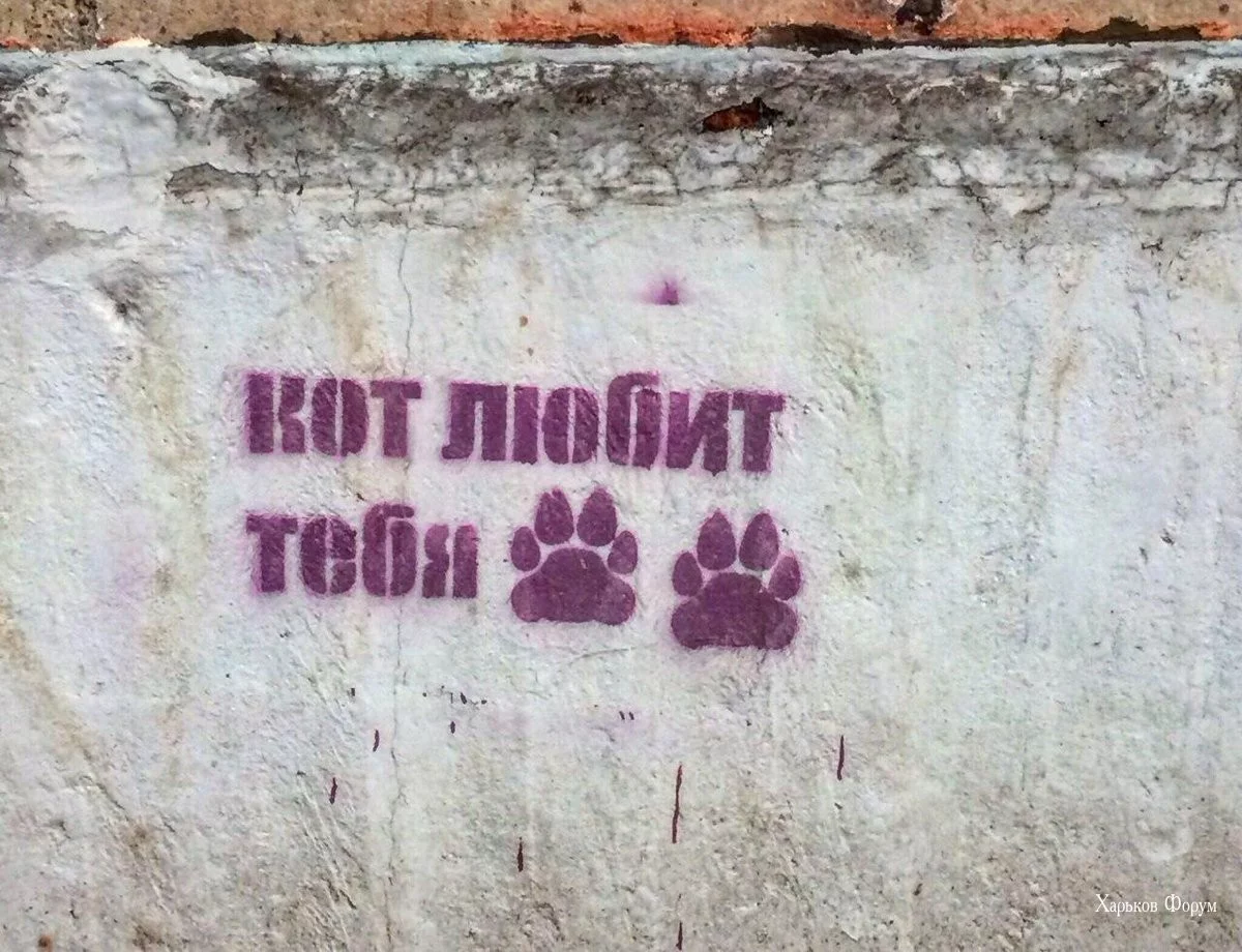 837d3cde0b84b48e04eb6e.webp