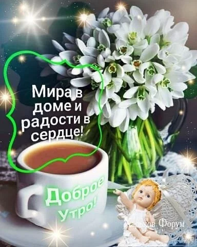 837d5ab7fe34a9b271350.webp