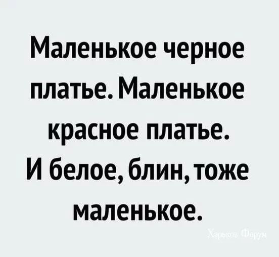 8384e9202068dbef06.webp