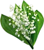 83885754.webp